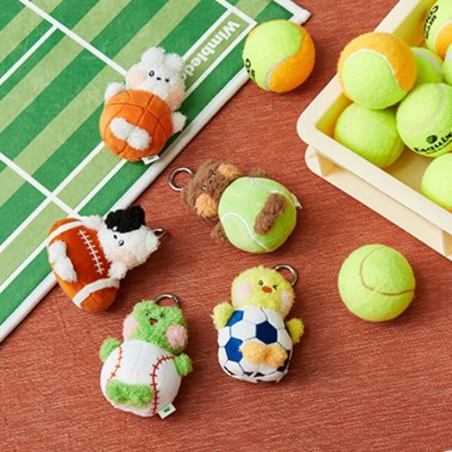 LINEFRIENDS FIELD DAY MINI MININI KEYRING