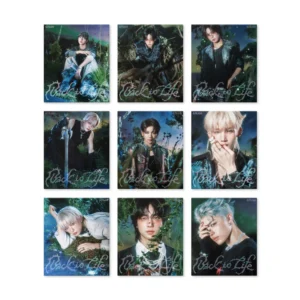 &TEAM - KR 1st Mini Album [Back to Life] ROAR Ver.