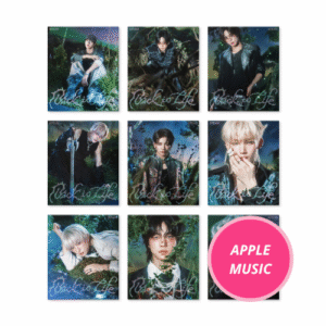 (APPLEMUSIC) &TEAM - KR 1st Mini Album [Back to Life] ROAR Ver.
